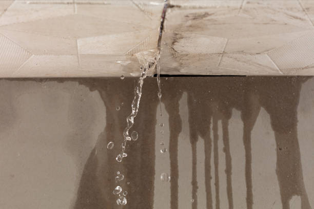 Professional Structural Drying technician working in Costa, WV